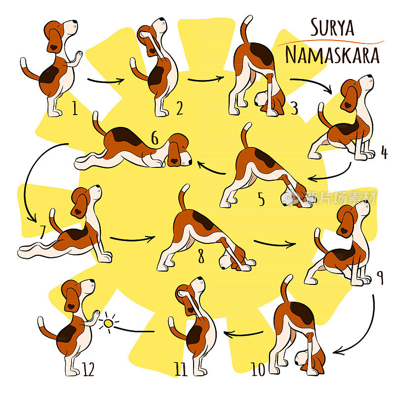卡通搞笑狗做瑜伽姿势的Surya Namaskara